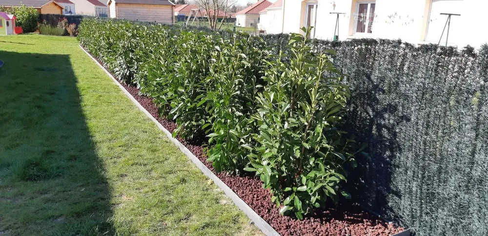 rénovation jardin à Clérey